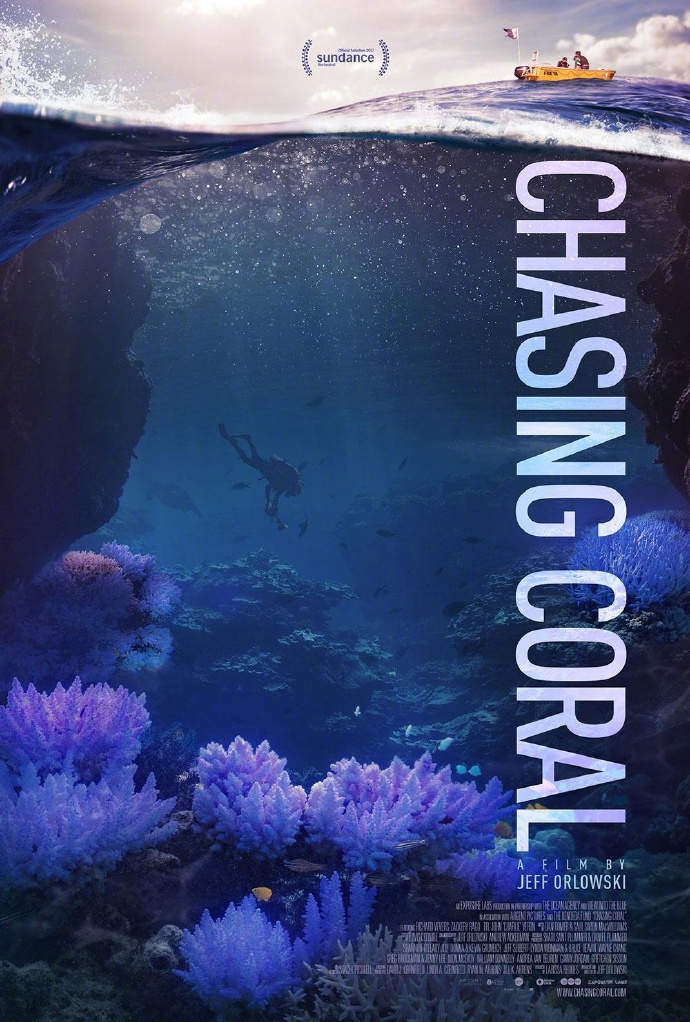 追逐珊瑚 Chasing Coral 【2017】【纪录片】【美国】