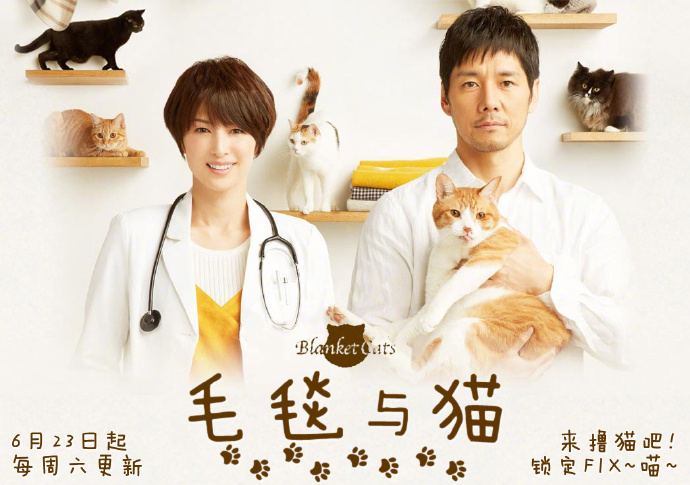 毛毯猫 ブランケット・キャッツ 【完结】【2017】【日剧】