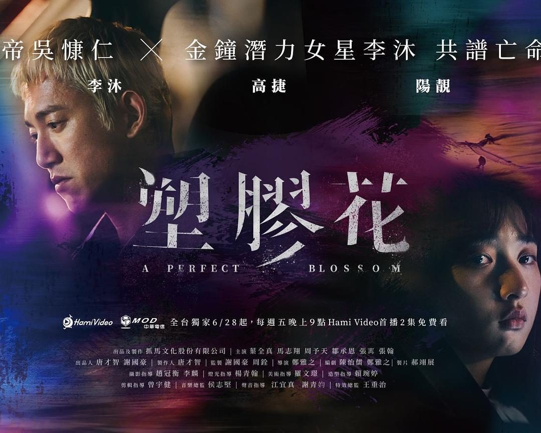 塑胶花 塑膠花【2024】【剧情/爱情/犯罪】【更新至06集】【台剧】【中文字幕】