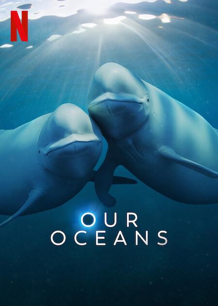 我们的海洋 Our Oceans【2024】【纪录片】【全05集】【英国】【中英字幕】