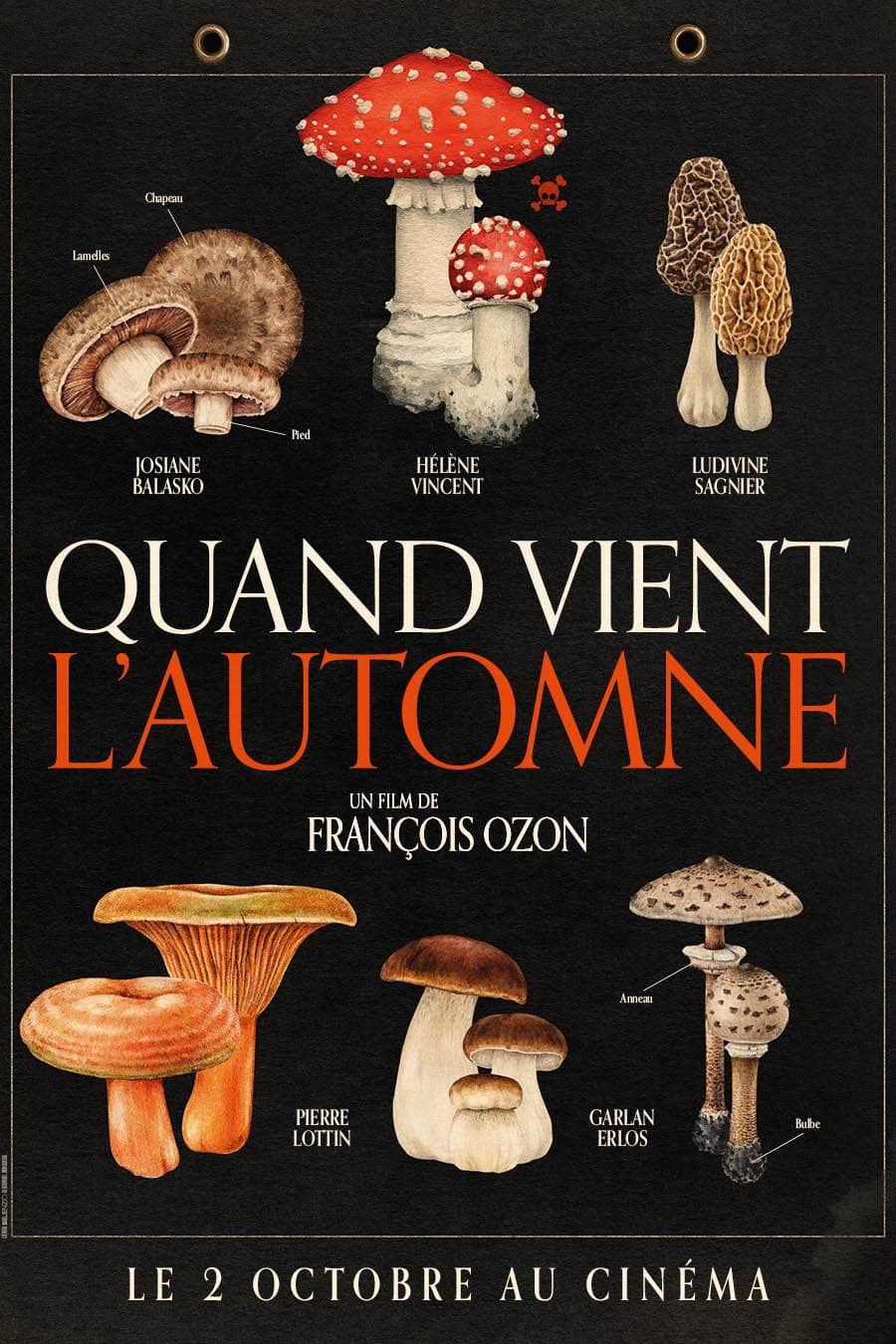 秋日何时来 Quand vient l'automne【2024】【剧情】【法国】【WEBRip】【中文字幕】