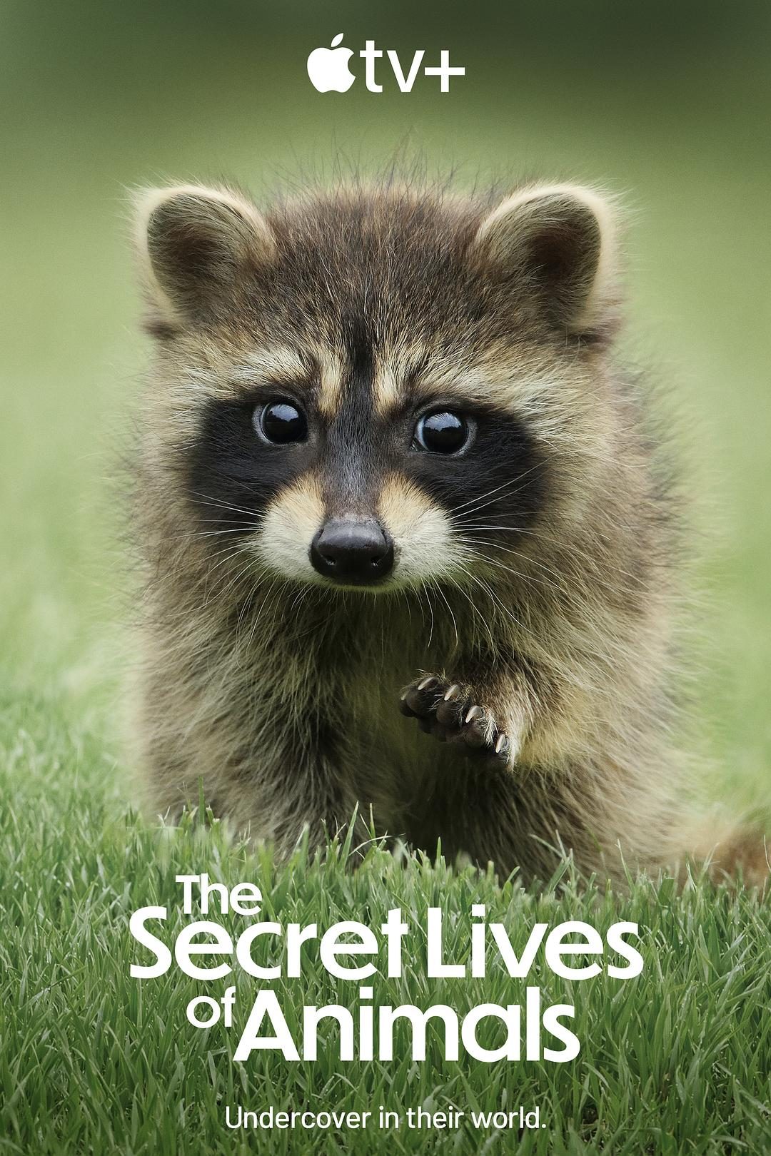 动物的秘密生活 The Secret Lives of Animals【2024】【纪录片】【全10集】【英国】【中英字幕】