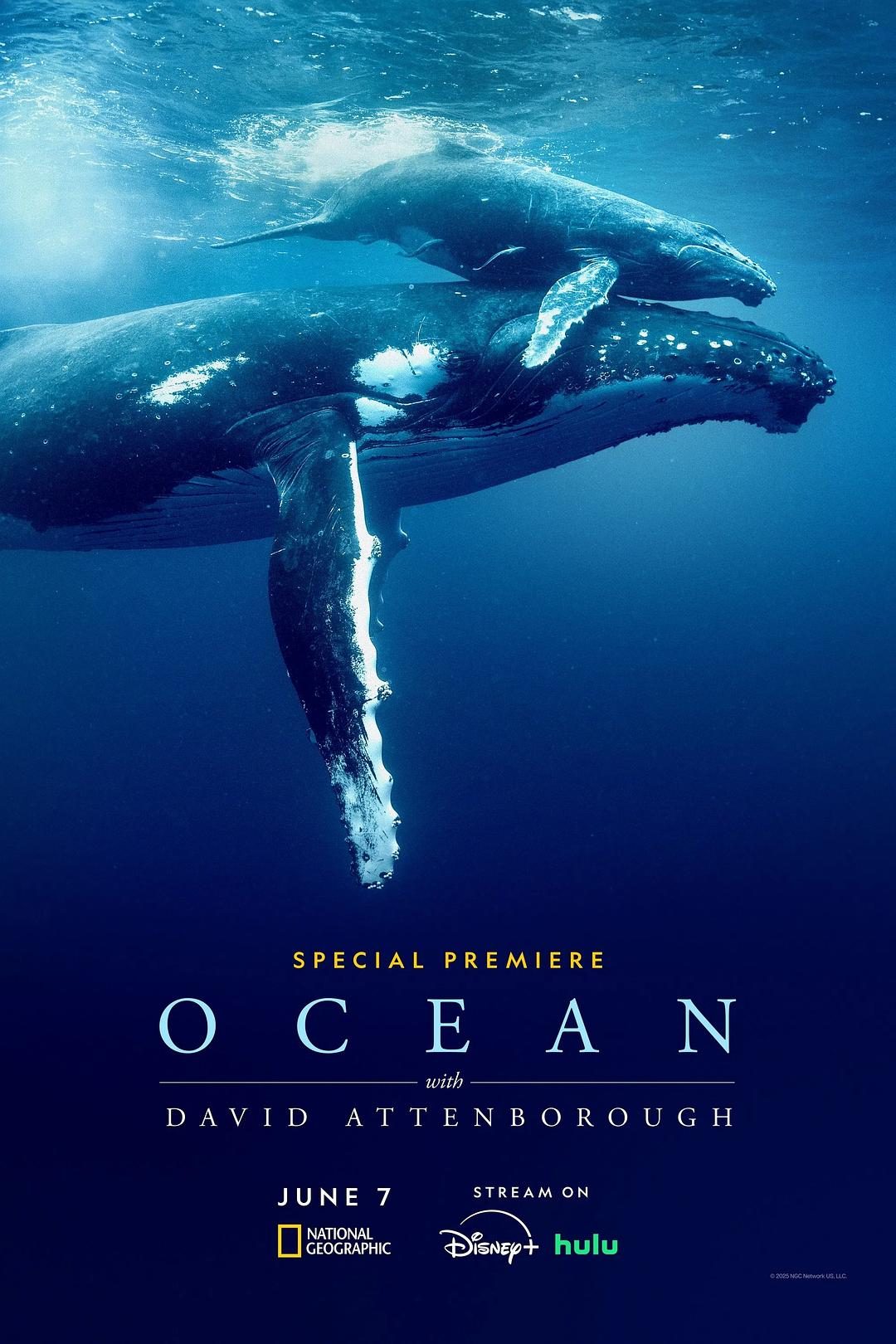 大卫·爱登堡：海洋 Ocean with David Attenborough【2025】【纪录片】【英国】【WEBRip】【中英字幕】