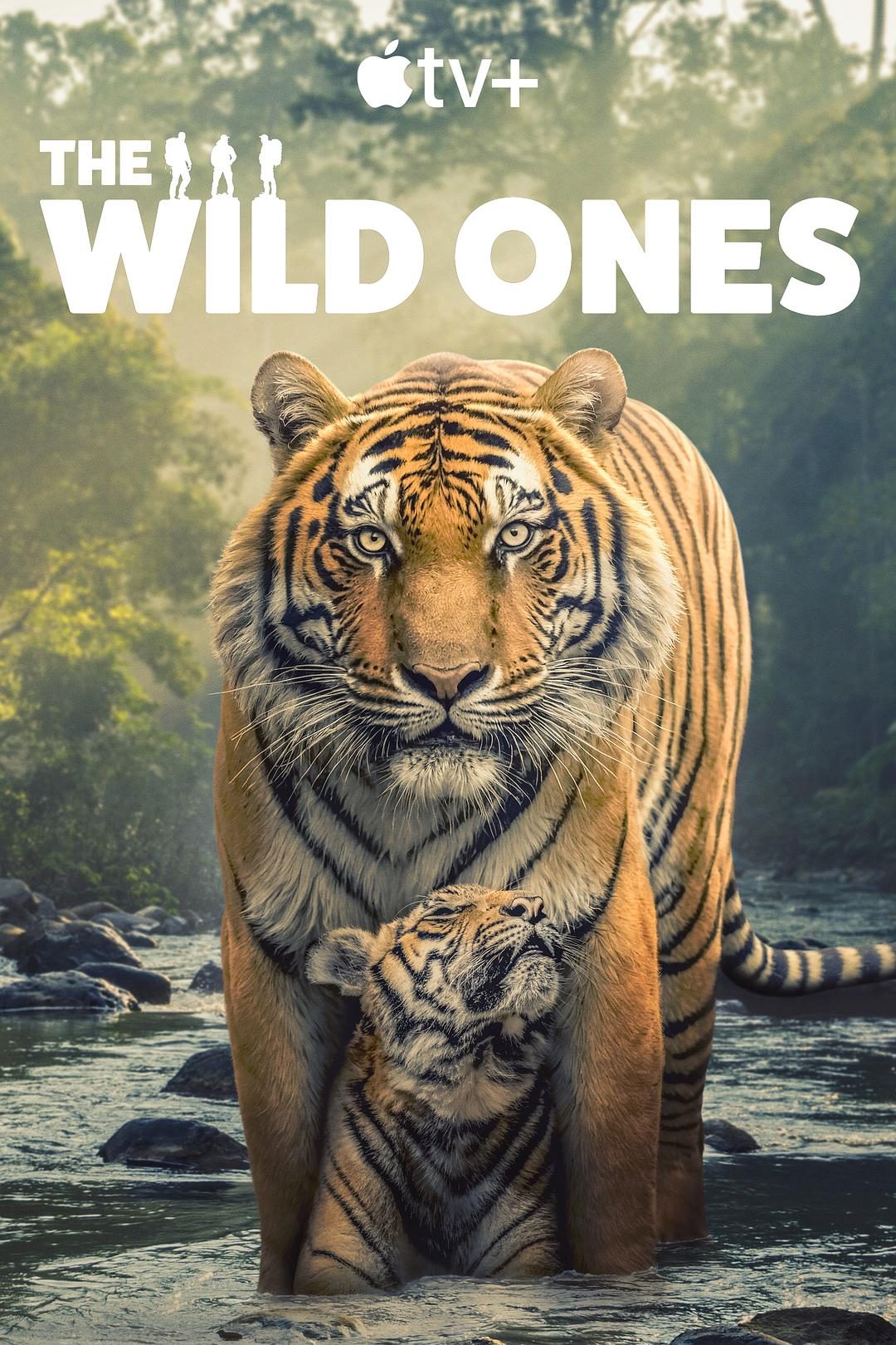 野性生灵 The Wild Ones【2025】【纪录片】【全06集】【英国】【中英字幕】