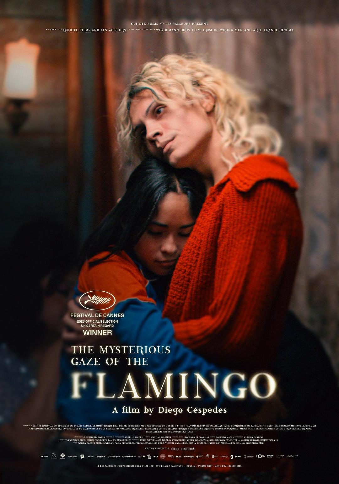 弗拉明戈的神秘眼神 La misteriosa mirada del flamenco【2025】【剧情/同性】【法国】【WEBRip】【中文字幕】